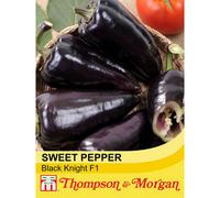 Thompson & Morgan Pepper Sweet Black Knight F1 Hybrid 1 Seed Packet (8 Seeds), Black