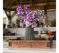 Thompson & Morgan Petunia Cut Flower Collection 6 GR Plug + Towerpot