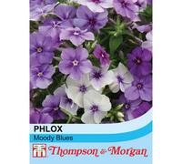 Thompson & Morgan Phlox Drummondii Moody Blues 1 Seed Packet (175 Seeds)