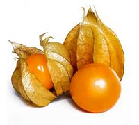 Thompson & Morgan Physalis Edulus Peruviana (Golden Berry) 1 Seed Packet