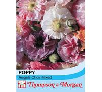 Thompson & Morgan Poppy Angels Choir Mixed 1 Seed Packet (250 Seeds)