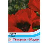 Thompson & Morgan Poppy Brilliant 1 Seed Packet (180 Seeds)