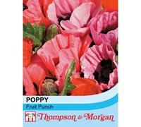 Thompson & Morgan Poppy Fruit Punch 1 Seed Packet (40 Seeds + 25% Extra Free)