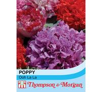 Thompson & Morgan Poppy Ooh La La 1 Seed Packet (500 Seeds)