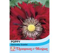Thompson & Morgan Poppy Seriously Scarlet 1 Seed Packet (100 Seeds)