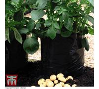 Thompson & Morgan Potato Grow Bags - Black/grey - 5 Bags