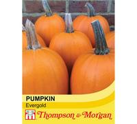 Thompson & Morgan Pumpkin Evergold 1 Seed Packet, Orange