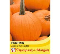 Thompson & Morgan Pumpkin Jack Of All Trades F1 1 Seed Packet (10 Seeds), Orange