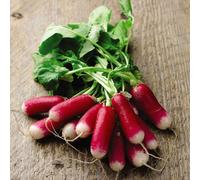 Thompson & Morgan Radish Flamboyant 3 1 Seed Packet