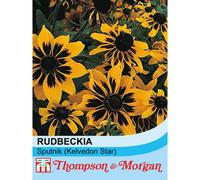 Thompson & Morgan Rudbeckia Sputnik (Kelvedon Star) 1 Seed Packet (100 Seeds)