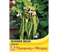 Thompson & Morgan Runner Bean Desiree 1 Seed Packet (35 Seeds), Green