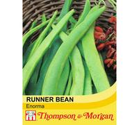 Thompson & Morgan Runner Bean Enorma 1 Seed Packet (40 Seeds)
