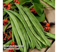 Thompson & Morgan Runner Bean Scarlet Empire 1 Seed Packet (30 Seeds)