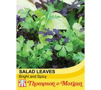 Thompson & Morgan Salad Leaves Bright And Spicy 1 Seed Packet (750 Seeds)