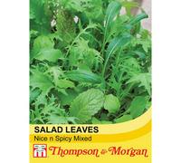 Thompson & Morgan Salad Leaves Nice & Spicy Mixed 1 Seed Packet (250 Seeds)
