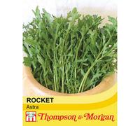 Thompson & Morgan Salad Leaves Rocket Astra 1 Seed Packet (400 Seeds)