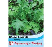 Thompson & Morgan Salad Leaves Speedy 1 Seed Packet (400 Seeds), Green