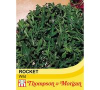 Thompson & Morgan Salad Leaves Wild Rocket 1 Seed Packet (500 Seeds)