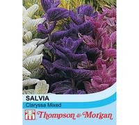 Thompson & Morgan Salvia Horminum Claryssa Mixed 1 Seed Packet (150 Seeds)