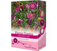 Thompson & Morgan 1 x Scatter Pack Flower Garden Fragrant Mix Unit, Multi