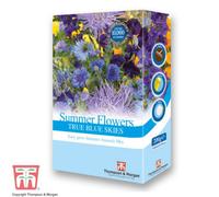 Thompson & Morgan Scatter Pack - Summer Flowers Colour Theme Blue, Blue