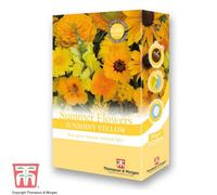 Thompson & Morgan Scatter Seed Pack Summer Flowers Colour Theme Yellow 1 Pack (200G . 15G Of Seed)