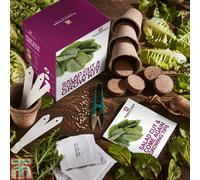 Thompson & Morgan Salad Cut and Come Again Grow Kit - Size: 20 x 10 x 5cm - Multi - Wilko