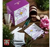 Thompson & Morgan Seed Grow Kit - Cut Flower - 1 Pack - Ideal Gift
