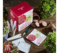 Thompson & Morgan Seed Grow Kit Stunning Succulents - 1 Pack