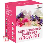 Thompson & Morgan Seed Grow Kit Sweet Peas - 1 Pack