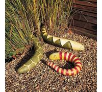 Thompson & Morgan Snake Gourd - Rhs Kids 1 Seed Packet