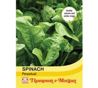 Thompson & Morgan Spinach Perpetual Spinach 1 Seed Packet (250 Seeds)