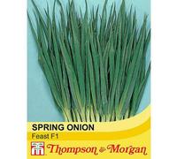 Thompson & Morgan Spring Onion Feast 1 Seed Packet, Green