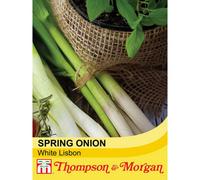 Thompson & Morgan Spring Onion White Lisbon 1 Seed Packet (500 Seeds)