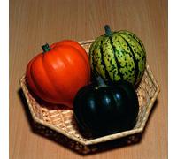 Thompson & Morgan Squash Celebration F1 Acorn-Type Vegetable Seeds - Sweet Nutty Compact Plants - Good Storage - For Uk Growing - 1 Packet X 5 Seeds