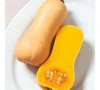 Thompson & Morgan Squash F1 Butterscotch - Compact Early Sweet Orange Fruits Container Friendly Disease Resistant