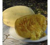 Thompson & Morgan Squash Spaghetti Primavera F1 1 Seed Packet