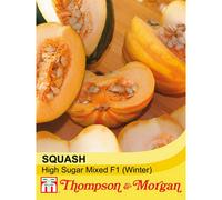 Thompson & Morgan Squash (Winter) High Sugar Mixed F1 1 Seed Packet (10 Seeds)