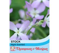 Thompson & Morgan Stock 'night Scented' - Start-A-Garden™ Seed Packet (1000 Seeds)