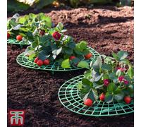 Garden Gear Strawberry Support x 10 Inc:, Green