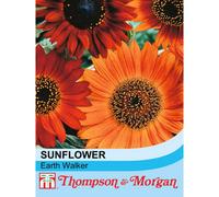 Thompson & Morgan Sunflower Earth Walker 1 Packet (30 Seeds)