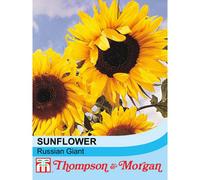 Thompson & Morgan Sunflower Russian Giant 1 Seed Packet (60 Seeds)