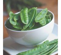 Thompson & Morgan Sweet Horizon Mangetout Pea Seeds - Easy Grow Crisp Tender Pods