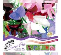 Thompson & Morgan Sweet Pea Exhibitors Collection 1 Seed Packet (75 Seeds0, Multi