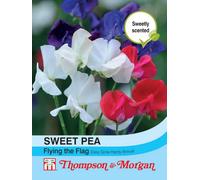 Thompson & Morgan Sweet Pea Flying The Flag 1 Seed Packet (20 Seeds)