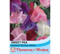 Thompson & Morgan Sweet Pea Heirloom Bicolour Mixed 1 Seed Packet (20 Seeds)