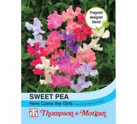 Thompson & Morgan Sweet Pea Here Come The Girls 1 Seed Packet (20 Seeds)