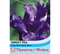 Thompson & Morgan Sweet Pea King Size Navy Blue 1 Seed Packet (20 Seeds)