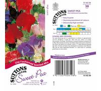 Thompson & Morgan Sweet Pea Old Fashioned Scented Mix 1 Seed Packet (30 Seeds)