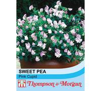 Thompson & Morgan Sweet Pea Pink Cupid 1 Packet (20 Seeds), Pink